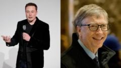 gates a musk