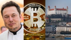 musk, bitcoin, bratislava