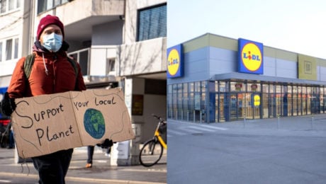 Lidl a Kaufland