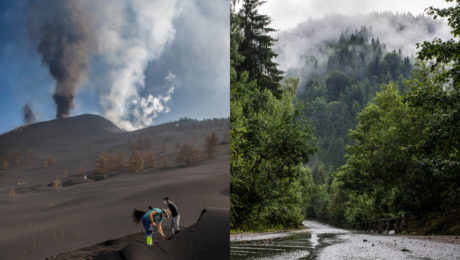 sopka, dážď, les