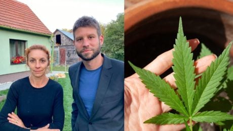 šimečka marihuana irena cbd