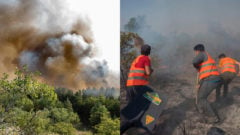 Obrovský požiar, horiace stromy a kríky, hasiči zasahujú v dyme a ohni