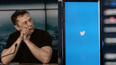 Elon Musk a logo Twitteru