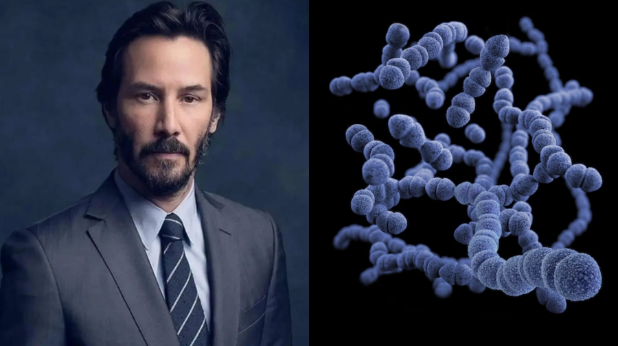 keanu reeves herec matrix baktérie