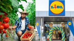 Lidl sa rozhodol