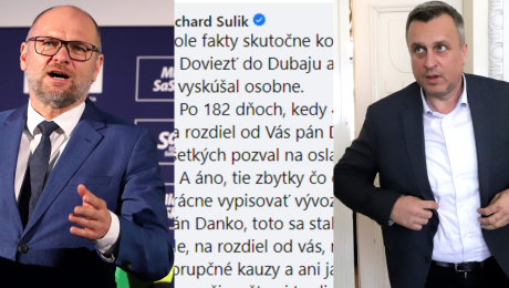 Richard Sulík a Andrej Danko a statusy