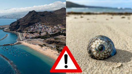 Pohľad na pláž na Tenerife a ulita na piesku