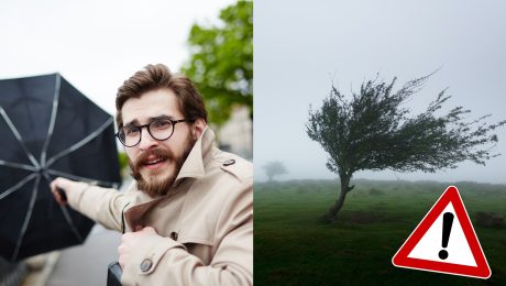 Muž, ktorému vietor odfukuje dáždnik a strom, ktorý vietor ohýba