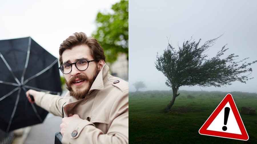 Muž, ktorému vietor odfukuje dáždnik a strom, ktorý vietor ohýba