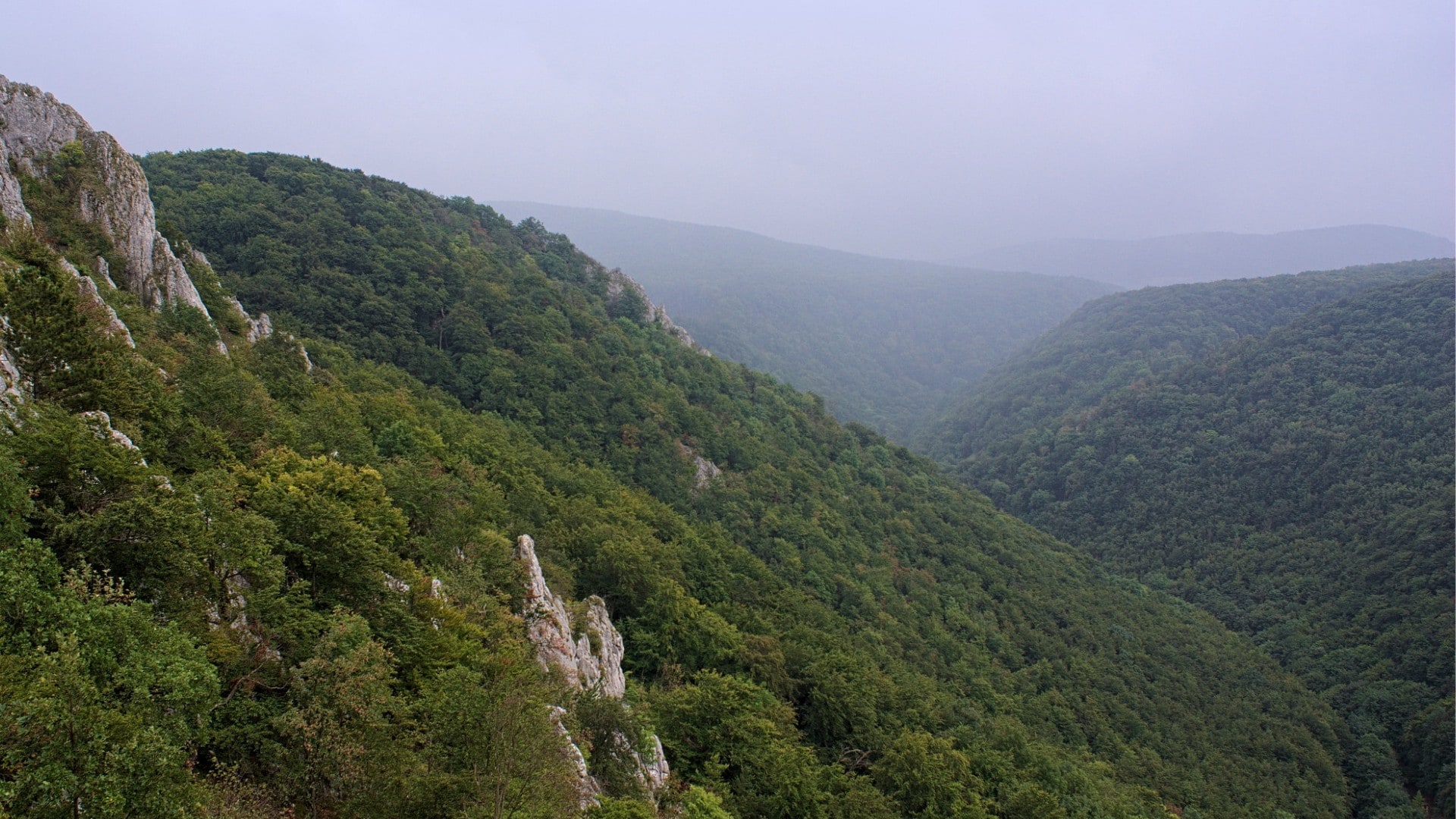 Kršlenica, Plavecký Mikuláš