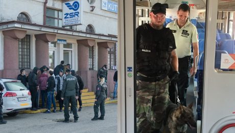 Polícia zasahuje na železničnej stanici a policajti so psom vo vlaku.