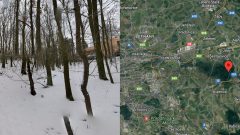 Klánovický les mapa, fotografia lesa