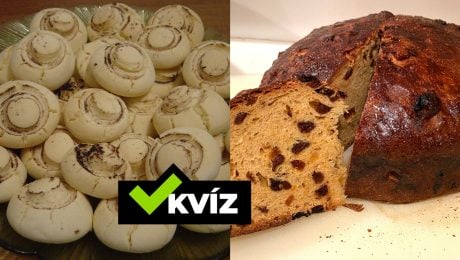 Chokladbröd, zázvorové keksy