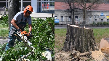 Slováci dostávajú za