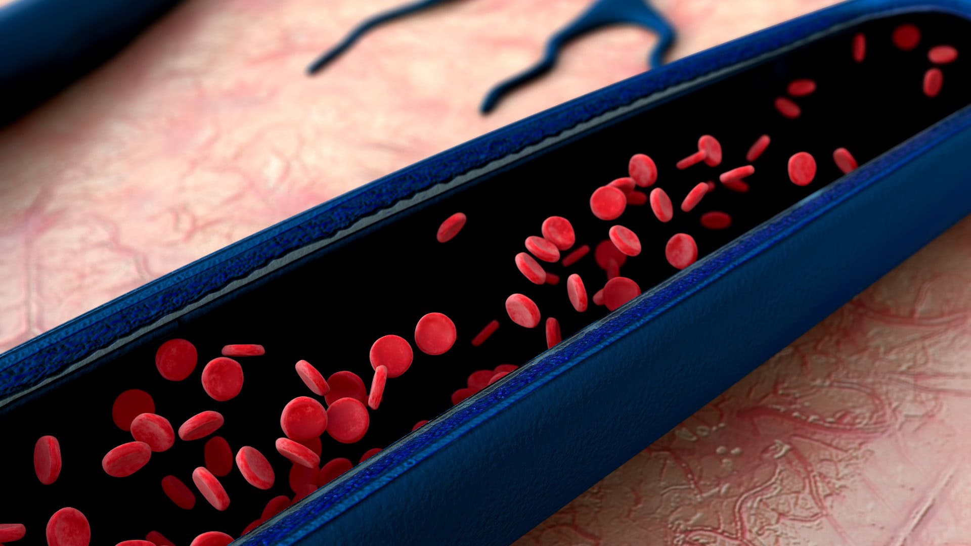 cervene krvinky