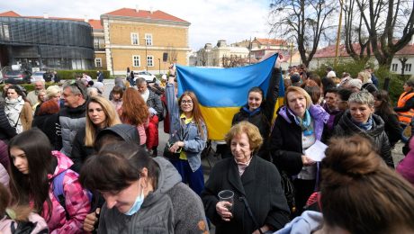 Utečenci z ukrajiny, zákon o azyle