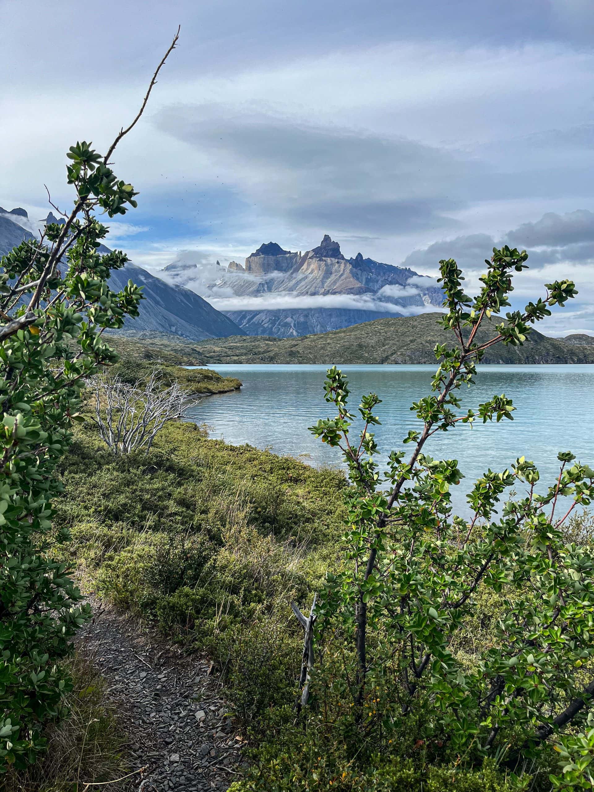 Torres del Paine_5