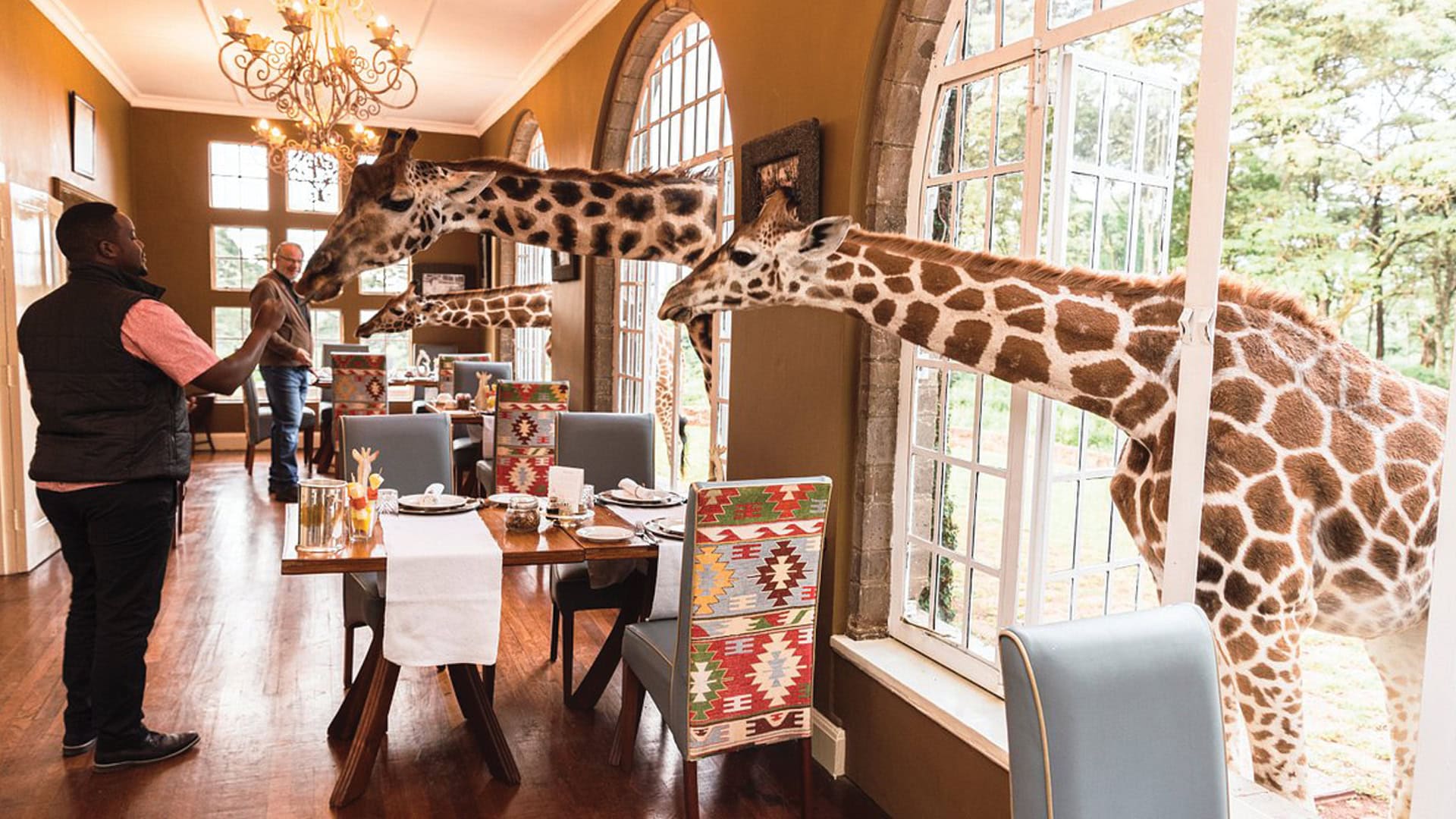 Hotel Giraffe Manor