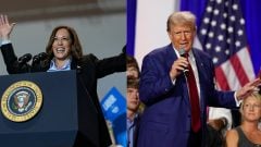 Trump, Harris