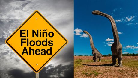 El Niño vyhynutie dinosautov. El Niño môže za vymretie 90 % sveta, dnes je podobný