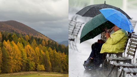 Na snímke stromy s jesenným lístím a ženy na lavičke s dáždnikom.