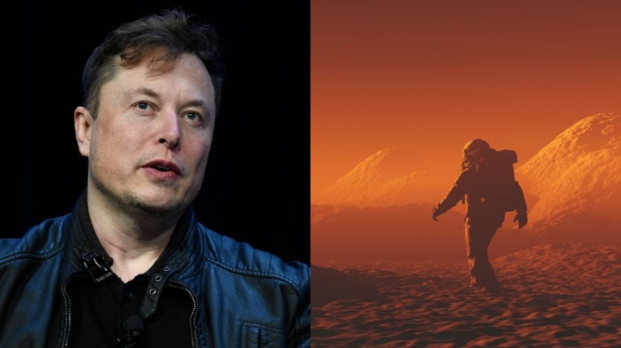 Elon Musk, Mars