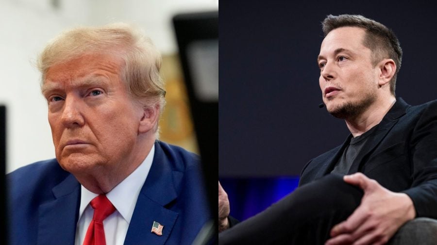 Donald Trump a Elon Musk.