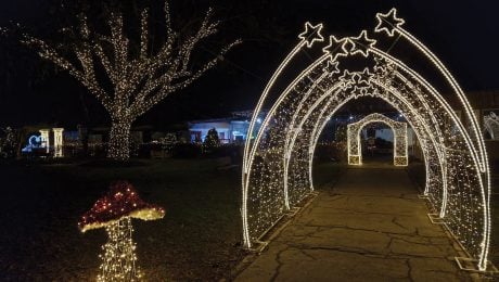 Svetelný park Anička Košice