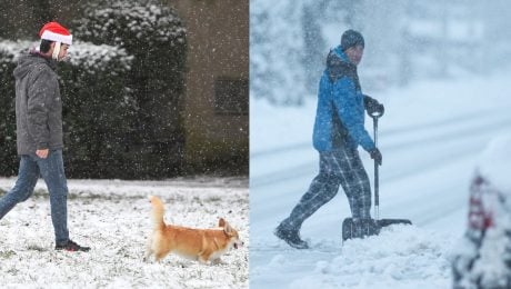 sneh, sneženie, počasie, predpoveď