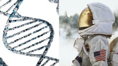 astronaut, dna