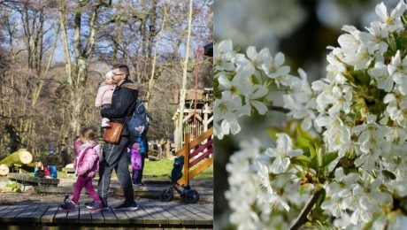 Na Slovensko sa rúti dramatická zmena počasia. SHMÚ vydáva výstrahy (PREDPOVEĎ)